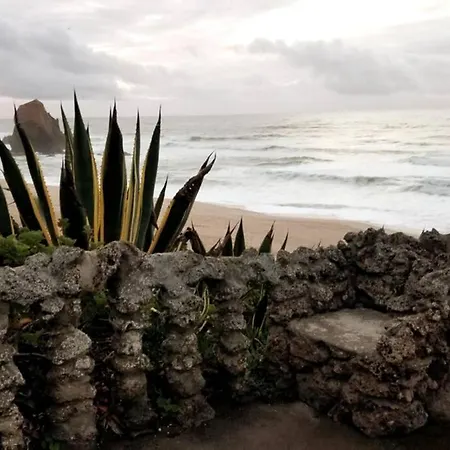 Beachy 2bdrm In Santa Cruz W/ Stunning Ocean View!